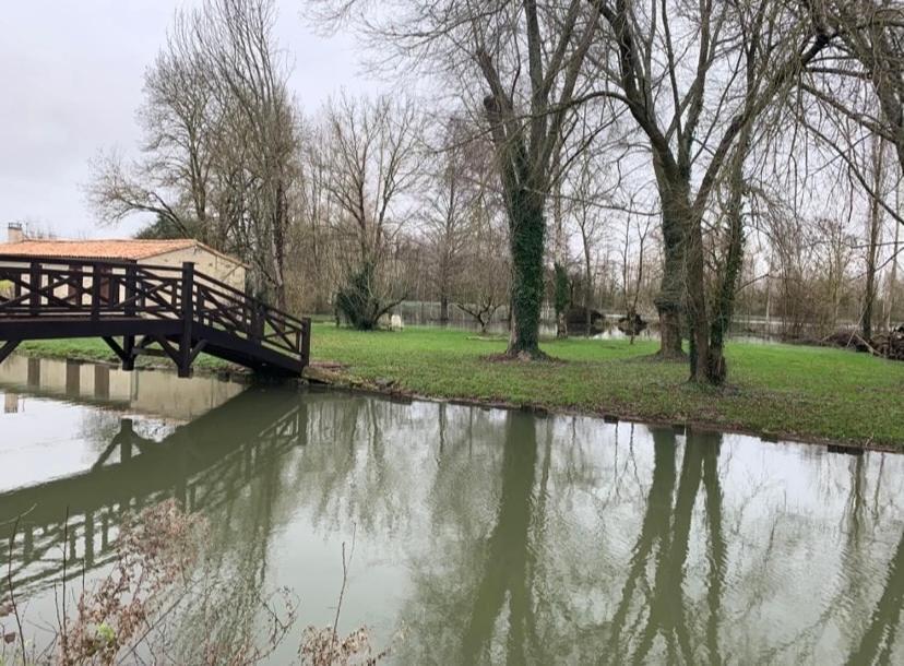 Maison Terrasse Proche Centre Ville Et Ile De Re La Rochelle  Eksteriør bilde